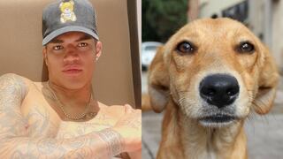 Anderson Santamaría y el urgente pedido de una rescatista de animales: “Ayúdeme con comida para los perros callejeros”