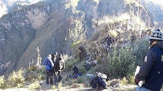 Arequipa: Encuentran con vida a tres turistas franceses perdidos en el Colca 