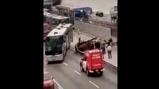 Vía Expresa: auto choca y derrumba muro de vía exclusiva del Metropolitano y evitó circulación de buses 
