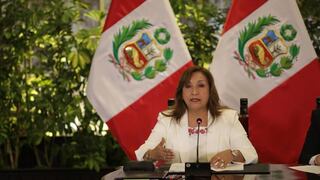 Presidenta Boluarte admite que cometió “errores” en la lucha contra el dengue