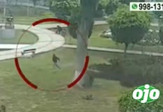 Escolar es herido de bala tras intentar detener a delincuente que huía de operativo en San Luis