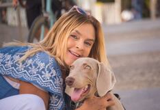 Consejos esenciales para cuidar a tu mascota durante las celebraciones