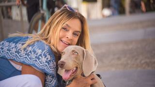 Consejos esenciales para cuidar a tu mascota durante las celebraciones