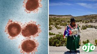 Alarma en Bolivia por nuevo virus similar al ébola y que se puede contagiar de persona a persona