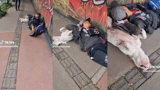 “Eso es ser amigos”: usuarios quedan encantados con perrito que durmió junto a su dueño en la calle