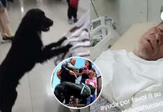 Mujer que adoptó a ‘Firulais’ reveló que antiguo dueño abandonó al perro en el hospital: “El señor se escapó”