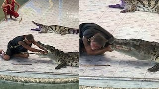 Domador de cocodrilos es atacado por uno de sus enormes reptiles (FOTOS)