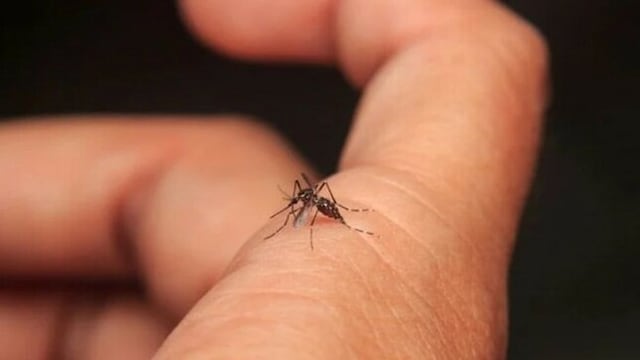 Dengue está imparable: El 38 % de infectados se concentra en Piura, La Libertad e Ica