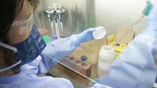 Coronavirus: Científicos chinos advierten que el Covid-19 no desaparecerá y volvería todos los años