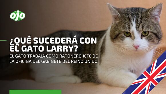 Larry, el gato funcionario que trabaja para el gobierno del Reino Unido