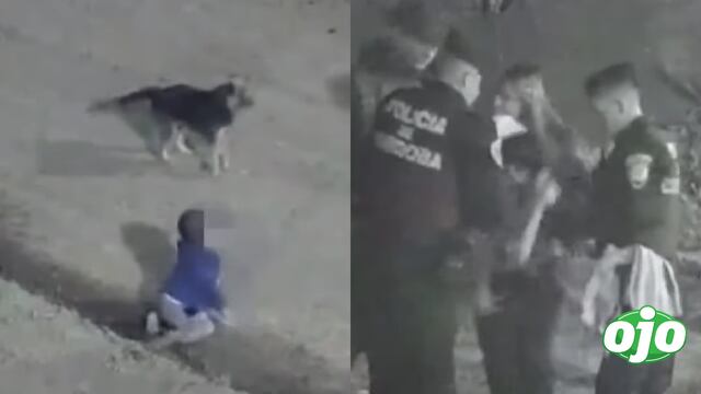Increíble fuga nocturna: Bebé gatea fuera de su casa en Argentina acompañado por su perro