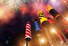 Consejos claves para salvaguardar a tus mascotas durante los fuegos artificiales en estas fiestas (VIDEO)