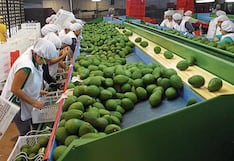 Perú iguala a Chile en exportaciones agrícolas y se prevé que a fin de año pase adelante
