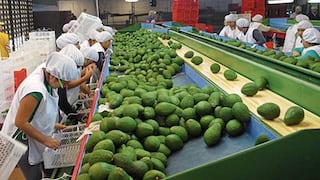 Perú iguala a Chile en exportaciones agrícolas y se prevé que a fin de año pase adelante