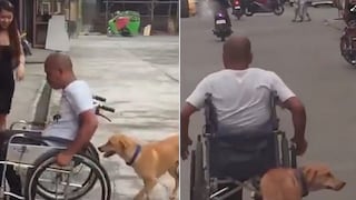 El conmovedor video de un fiel perrito ayudando a su dueño en silla de ruedas (VIDEO)