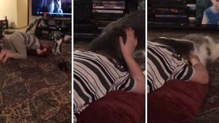 Niño empieza a llorar y gatita intenta calmarlo de una curiosa manera (VIDEO)
