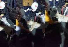 “Todo un héroe”: joven ayuda y reanima a un perrito que se había desmayado en la ‘Toma de Lima’