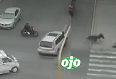 SJL: Motociclista sale ileso tras choque con camioneta