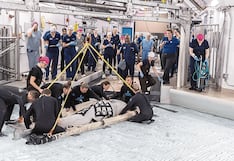 Veterinarios salvan vida de ballena al ser sometida a innovadora cirugía