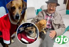 Jesús María: Adulto busca desesperadamente a su perrito y ofrece recompensa para quien lo encuentre