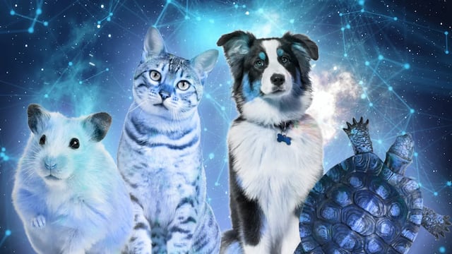 Cosmos y adopciones: ¿Las mascotas pueden alterar el destino de sus amos?