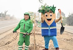 Un millón de árboles para una ciudad que necesita sombra: Lima Verde llega a una cifra histórica