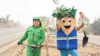 Un millón de árboles para una ciudad que necesita sombra: Lima Verde llega a una cifra histórica