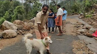 ​Perro salva a su familia de morir bajo deslizamiento que arrasó su casa