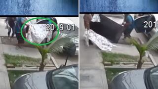 Intentaron robar televisor pero terminan devolviéndolo porque no entró en el carro (VIDEO)