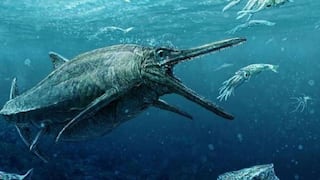 Descubren diente de 10 centímetros de ictiosaurio, el dinosaurio marino más grande de la historia