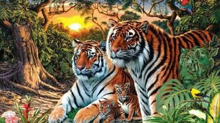 El reto viral que confunde a miles en redes sociales: ¿cuántos tigres ves en la imagen?