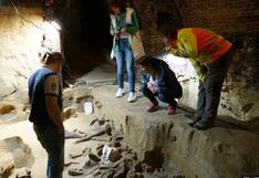 Viticultor halla huesos de tres mamuts enterrados debajo su bodega