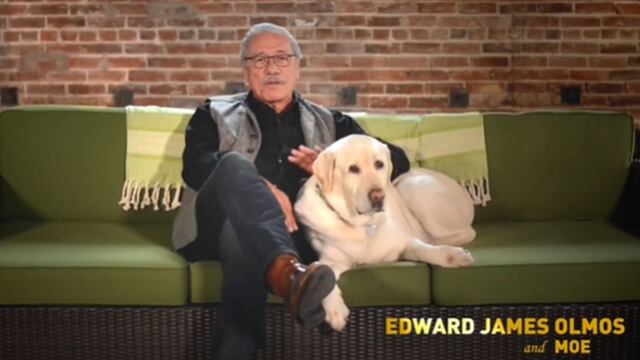Edward James Olmos encabeza campaña para proteger a perros y gatos de fuegos artificiales