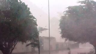 Alerta por vientos fuertes en 11 regiones