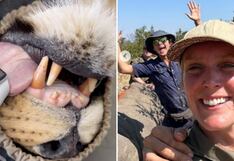 Una veterinaria se saca su reloj y lo pone en la lengua de un feroz león