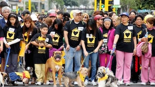 Gran caminata Huellas 4k: un día de diversión y solidaridad por los animales sin hogar