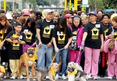 Gran caminata Huellas 4k: un día de diversión y solidaridad por los animales sin hogar