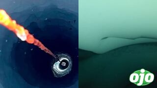 Científicos descubren “mundo oculto” debajo de la Antártida con criaturas sorprendentes