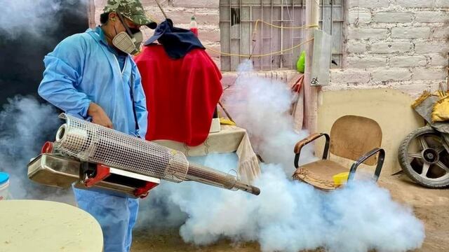 Van más de 13 mil casos de dengue: ¿Cuáles son los grupos etarios más vulnerables?