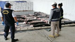 Incautan más de 22 toneladas de carne y aletas de tiburón de origen ilegal