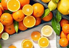 Comer para vivir: Alimentos que ayudan a activar las defensas