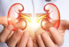Día Mundial contra el Cáncer de Riñón: ¿Es posible prevenir esta enfermedad?