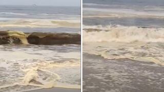 ¡Alerta! Marea roja en el sur: ¿Cuáles son las causas y consecuencias?