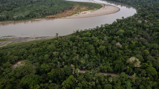 Centrales hidroeléctricas son un gran riesgo para ecosistemas Andino- Amazónico