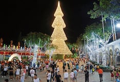 Con miles de sombreros levantan árbol de Navidad de 35 metros de altura