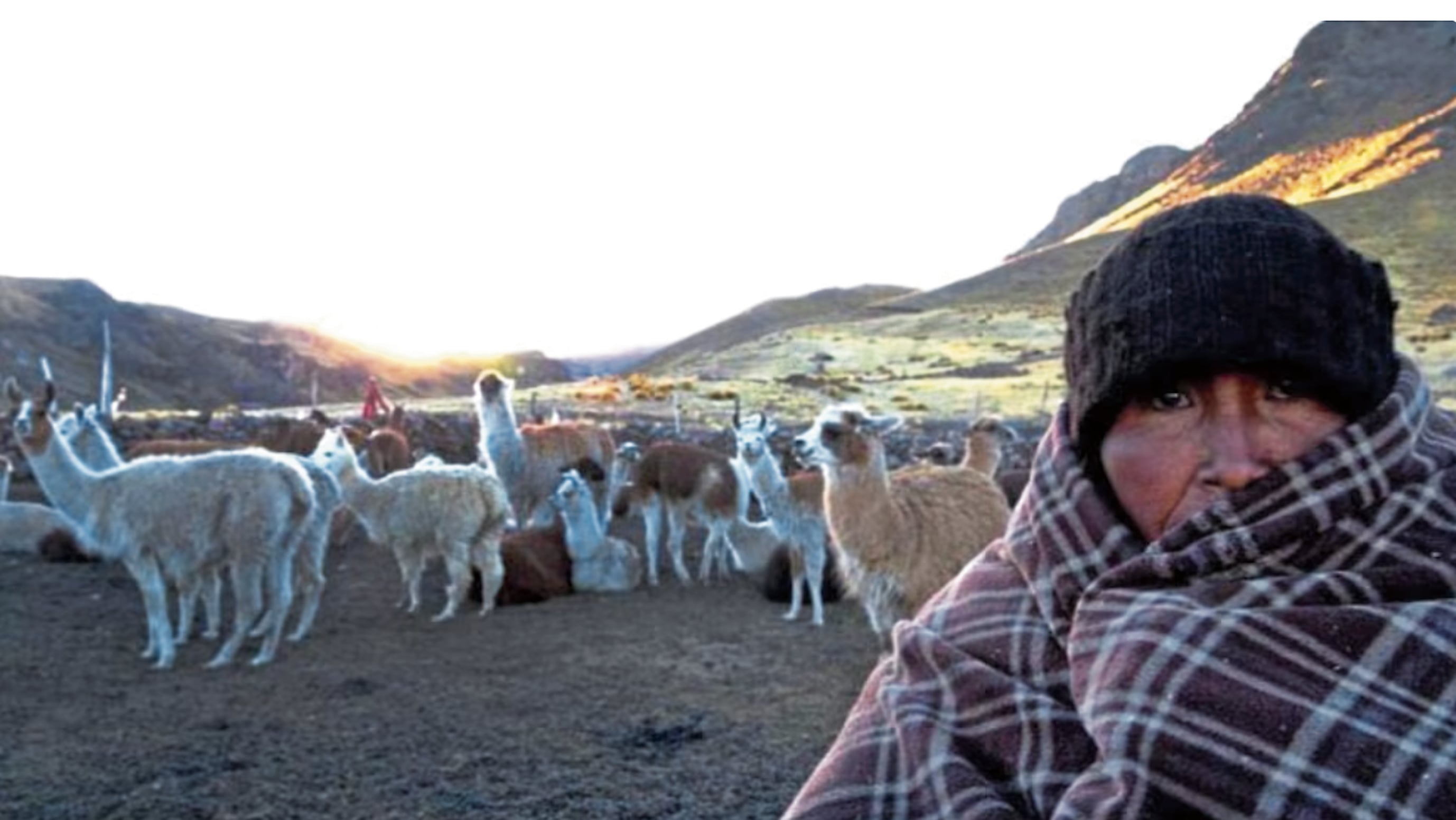 Pobladores y animales padecen en las alturas, sobre todo en el sur del Perú.