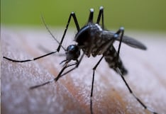 Aumentan los casos de dengue