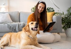 ¿Convives con perros o gatos? Así puedes reducir los alérgenos en casa