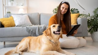 ¿Convives con perros o gatos? Así puedes reducir los alérgenos en casa