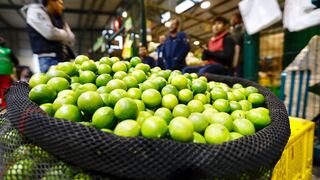 Limón por las nubes: ¿Cuál es su precio en mercados minoristas?